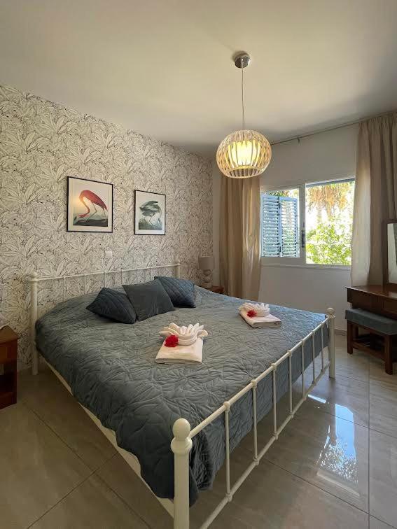 Ferienwohnung Timeless Cyprus Paphos Exterior foto